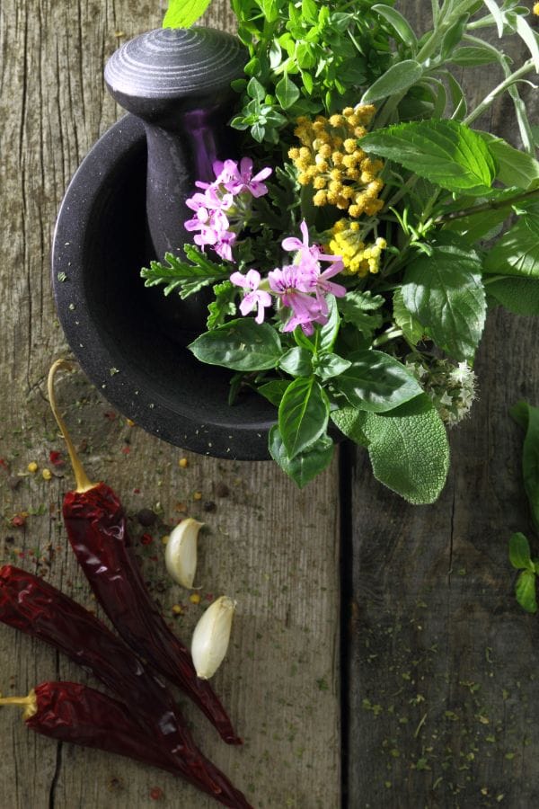 Herbs in a mortar and pestle used for natural medicine